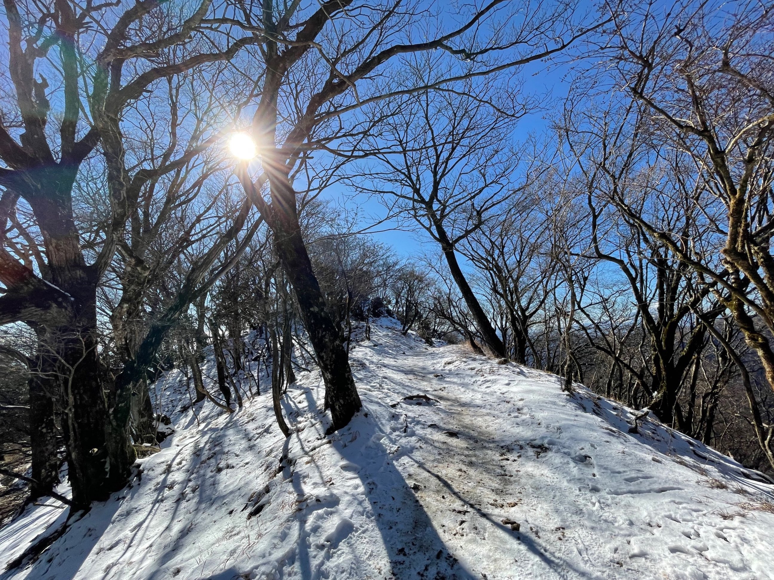 登山