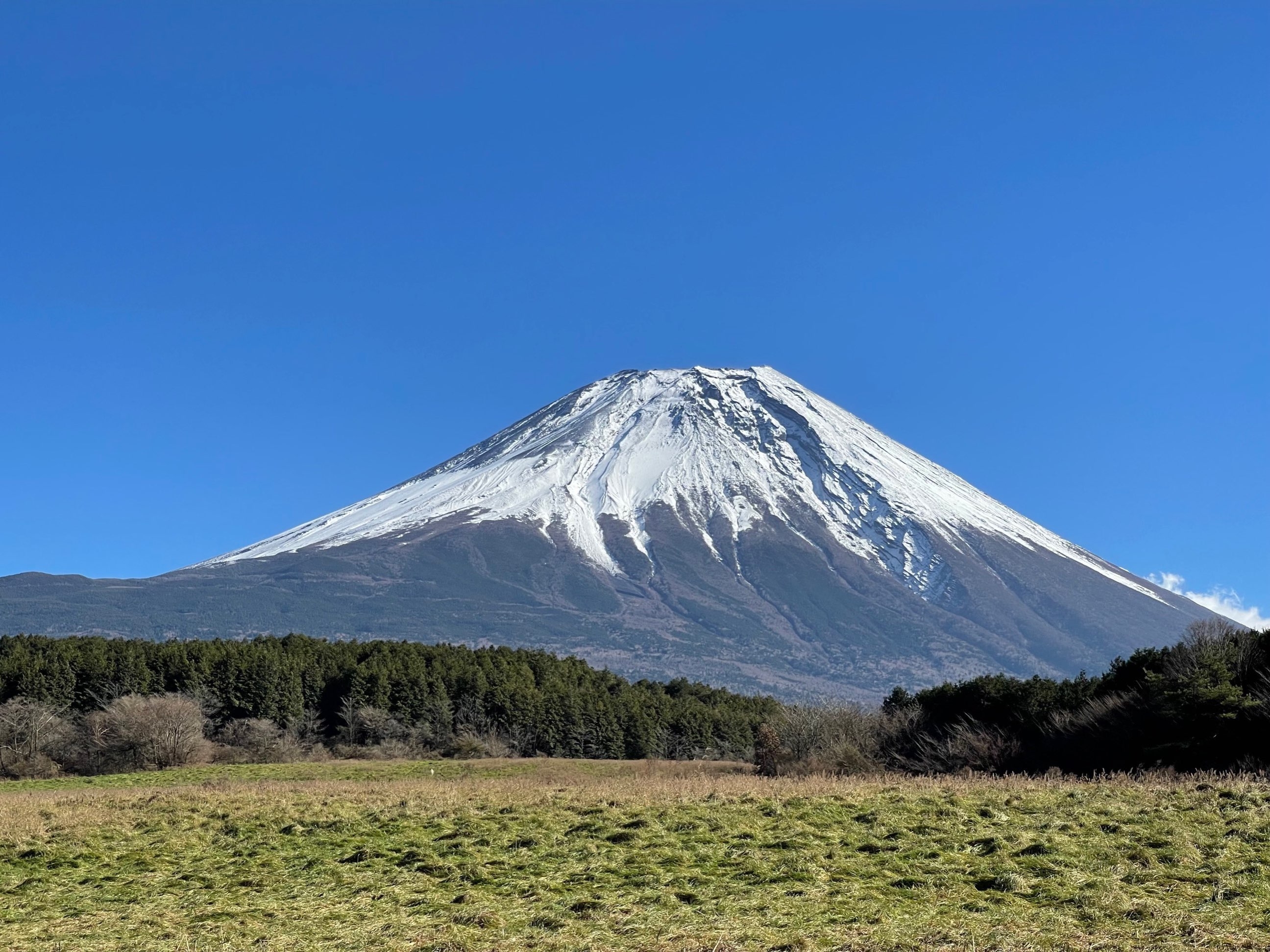 富士山