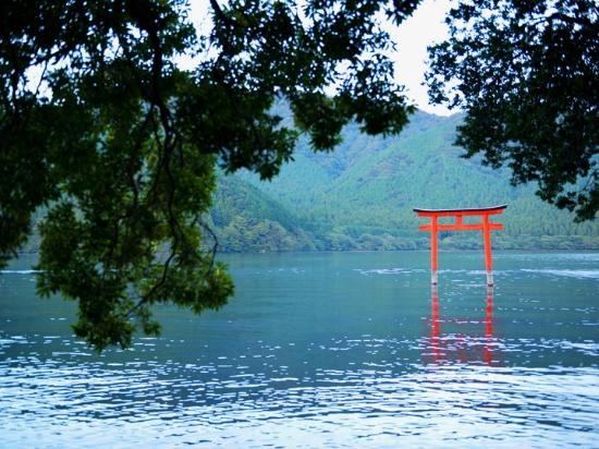 謎の水中鳥居