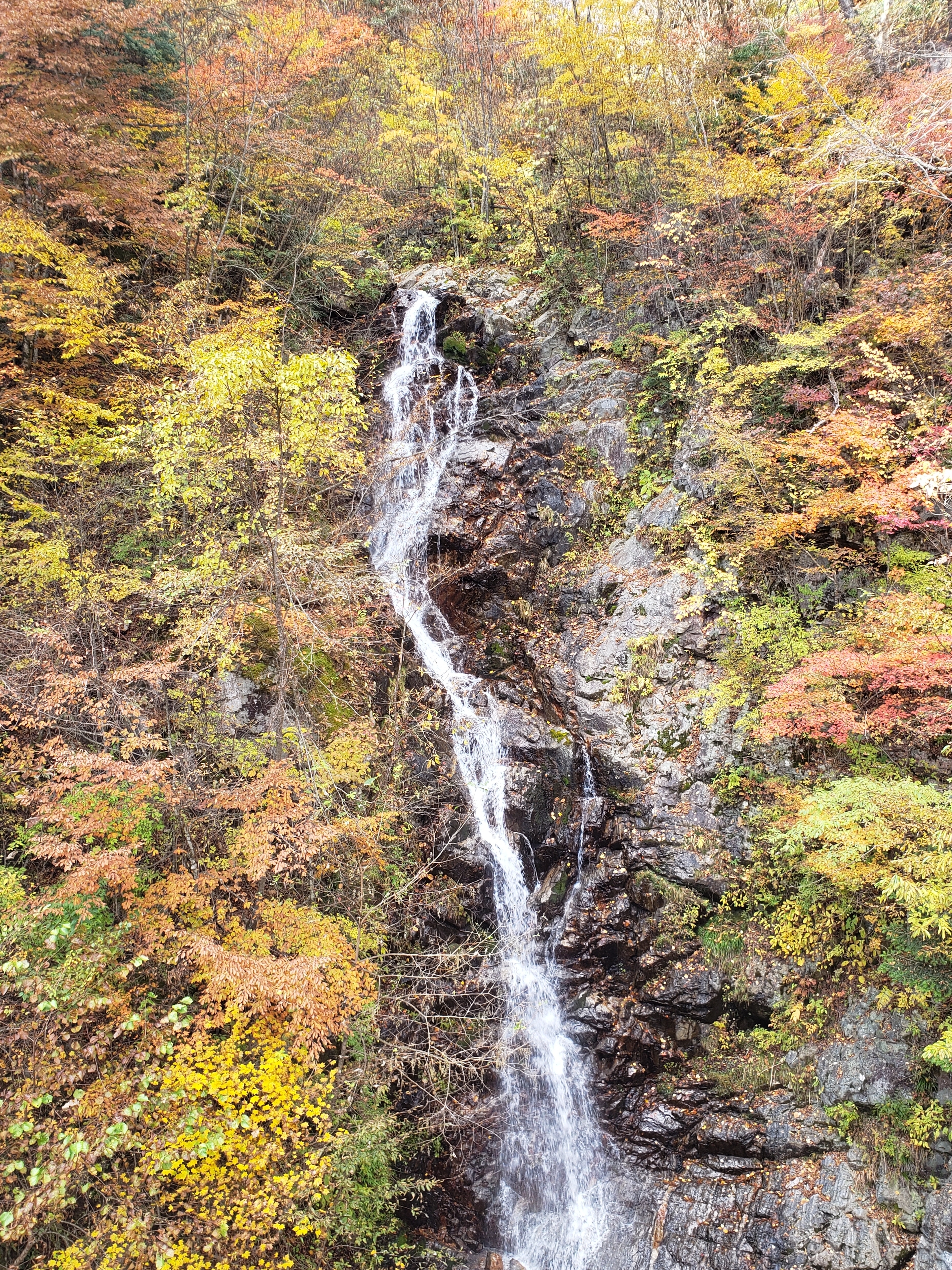 三頭大滝