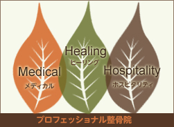 プロフェッショナル整骨院のコンセプト